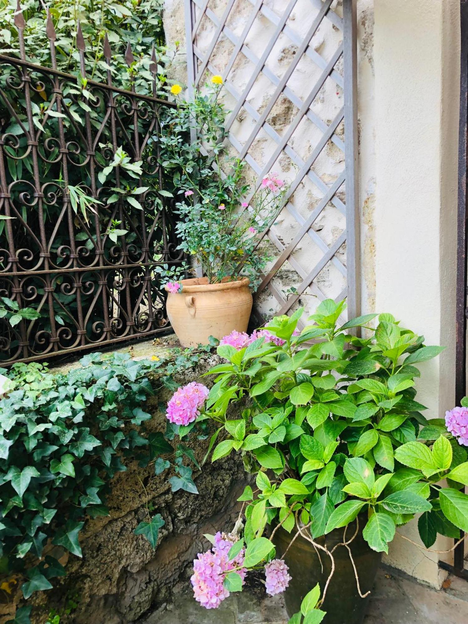 Au Bout Du Pre Hotel Pézenas Eksteriør billede
